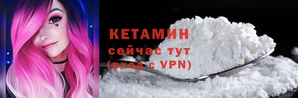 стаф Вяземский
