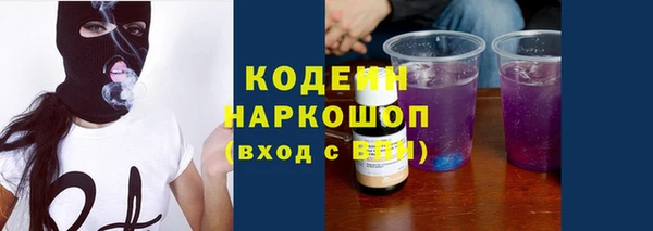 стаф Вяземский