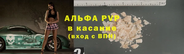 стаф Вяземский