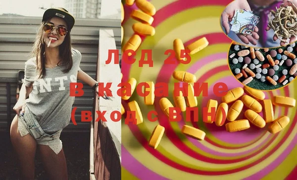 стаф Вяземский