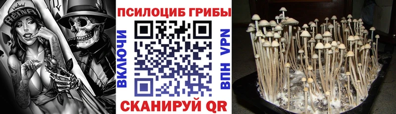 площадка Telegram  Находка  Галлюциногенные грибы GOLDEN TEACHER 